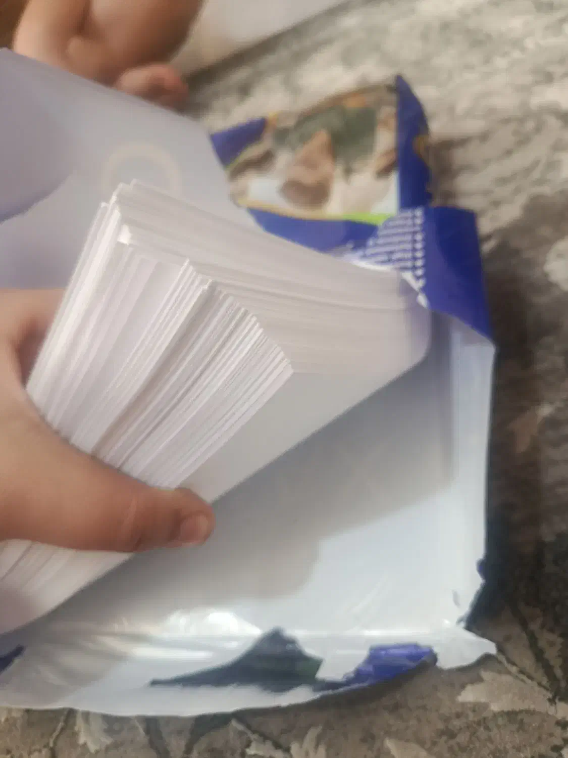 برگه A4پوشه ی کاری|لوازم التحریر|محمدیه-قزوین, |دیوار