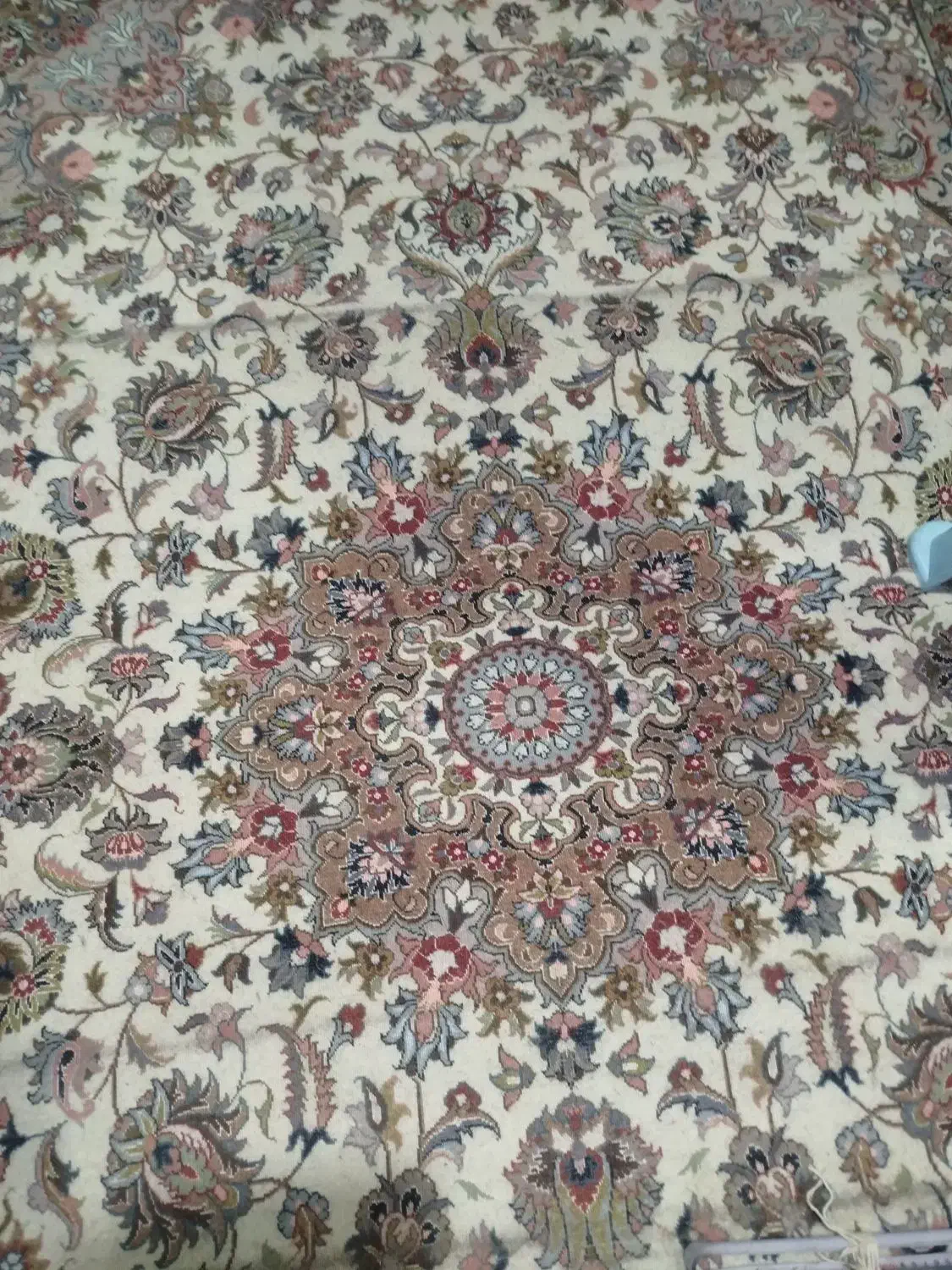 یه جفت قالی دستبافت ابریشم|فرش|اسفراین, |دیوار