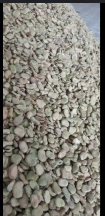 باقالا درجه یک بوجار سورت شده|خوردنی و آشامیدنی|سورک, |دیوار