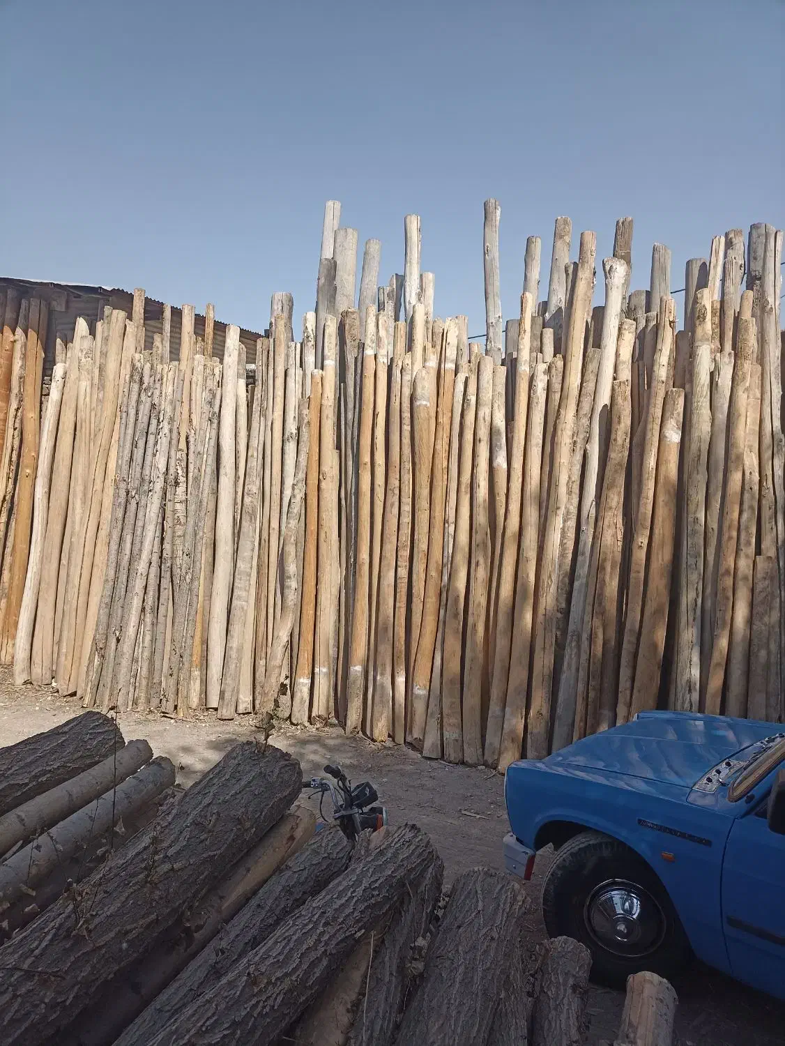 خرید فروش چوب|خدمات باغبانی و درختکاری|خرمآباد, |دیوار