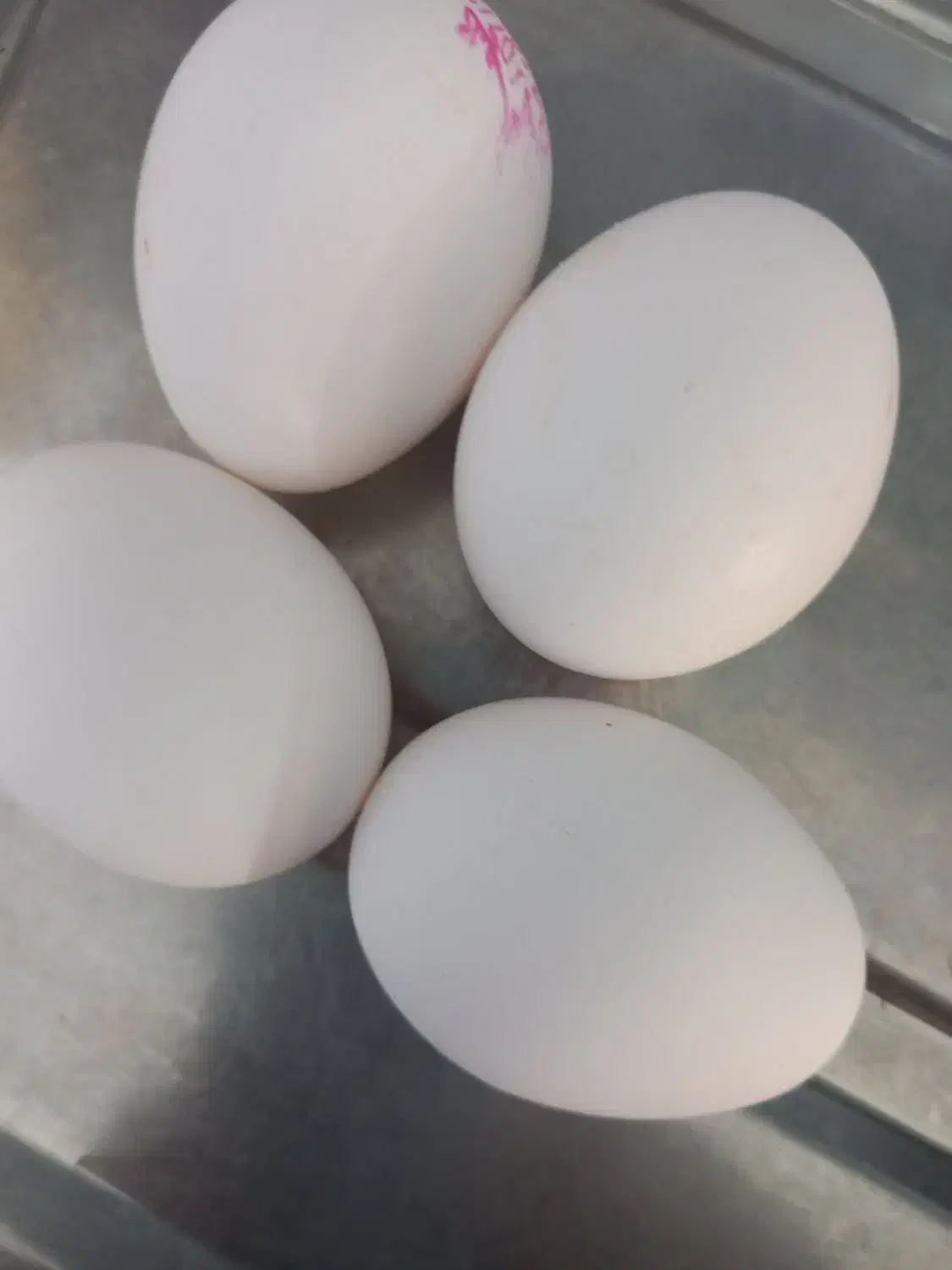 فروش پوسته تخم مرغ ماشینی|خوردنی و آشامیدنی|نجفآباد, گلدشت|دیوار