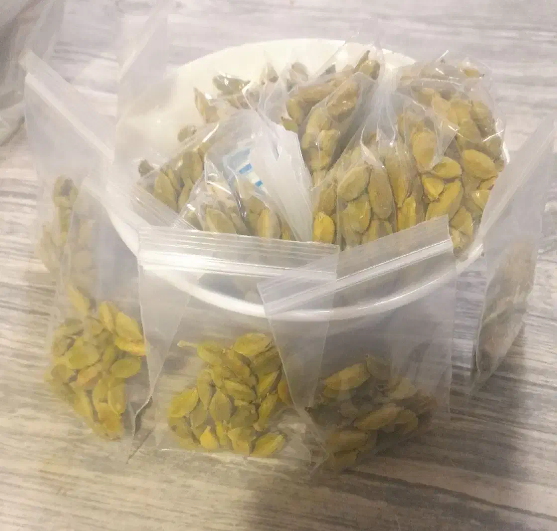 هل سبز اکبر بنفش درجه یک|خوردنی و آشامیدنی|پاکدشت, شهرک امام رضا|دیوار