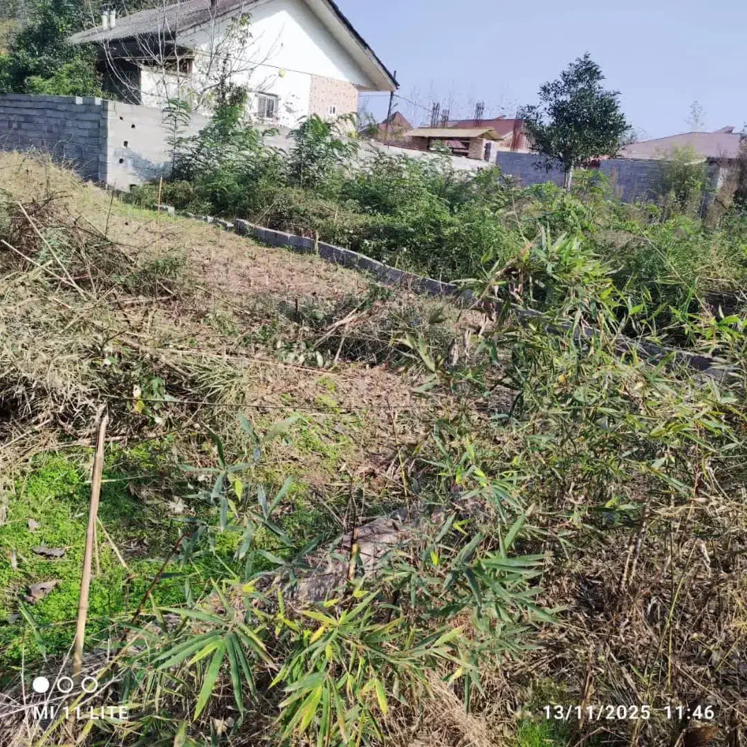 فروش ۵۲۰ متر زمین مسکونی دریاسر|فروش زمین و ملک کلنگی|شلمان, |دیوار