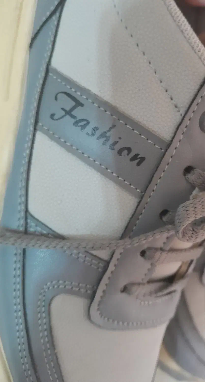 کتونی طوسی|کیف، کفش، کمربند|رشت, رشتیان|دیوار