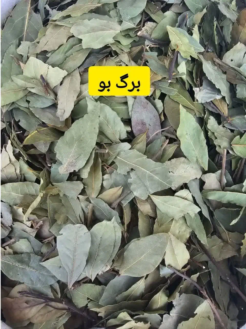 عطاری و گیاهان داروی کاشانیان|خوردنی و آشامیدنی|قنوات, |دیوار