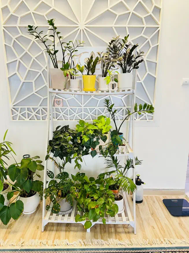 استند گل پی وی سی|کتابخانه، شلف، قفسه‌های دیواری|بیرجند, |دیوار