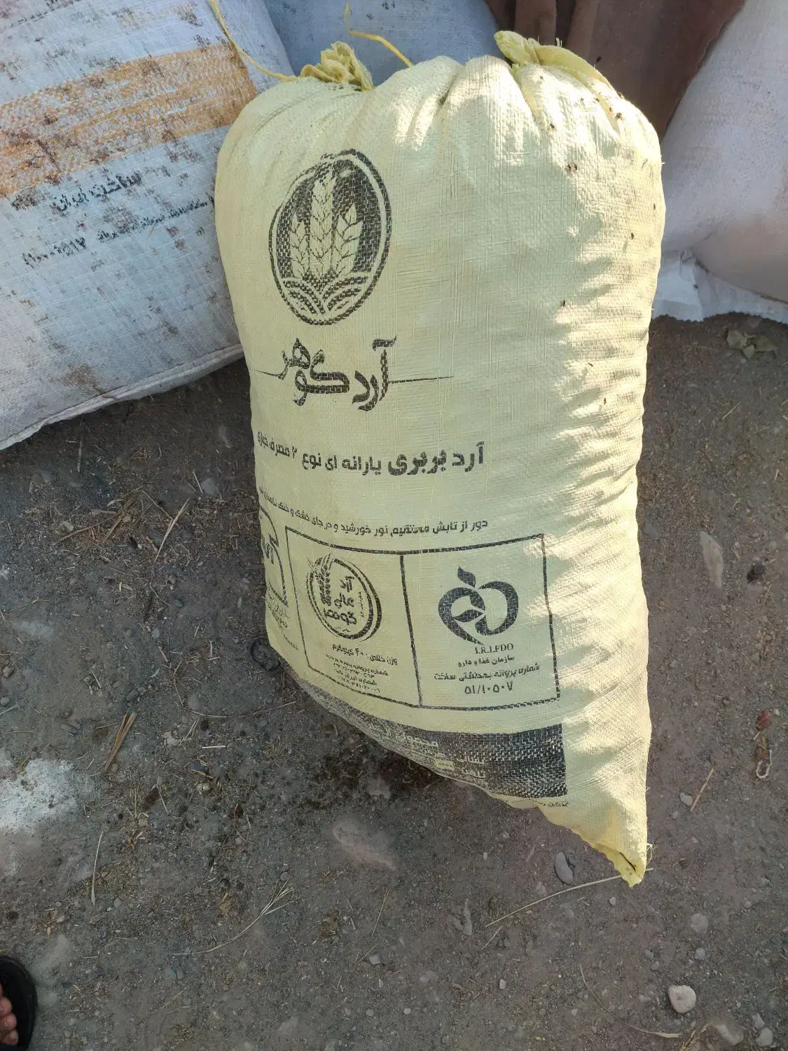 سلنگ خرمایی|لوازم جانبی حیوانات|میناب, |دیوار