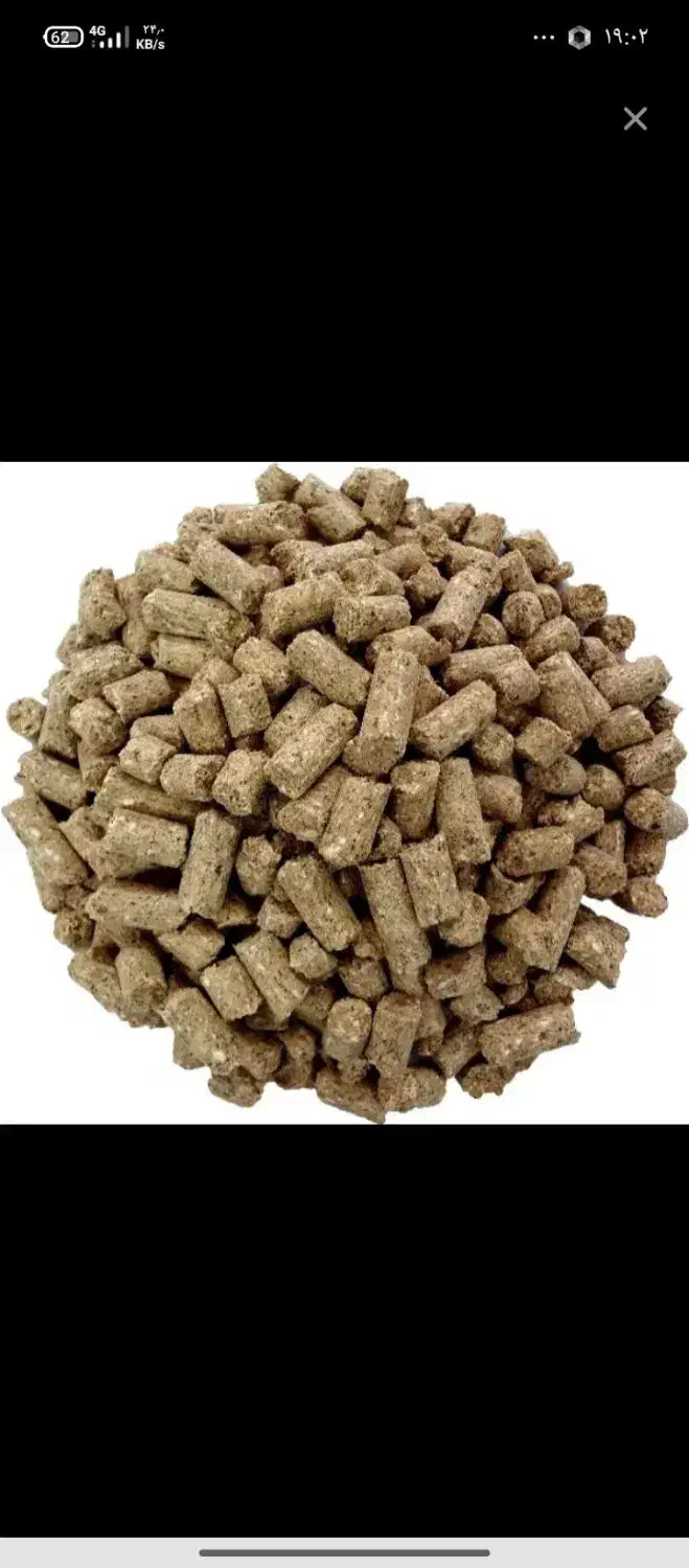 تفاله چغندر|لوازم جانبی حیوانات|فیروزآباد (لرستان), |دیوار