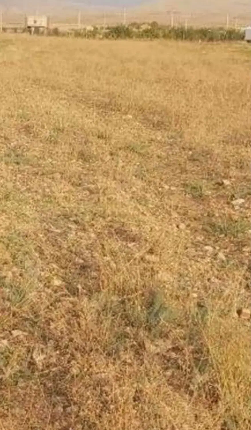 فروش زمین ۱ هکتار|فروش زمین و ملک کلنگی|ماکو, |دیوار