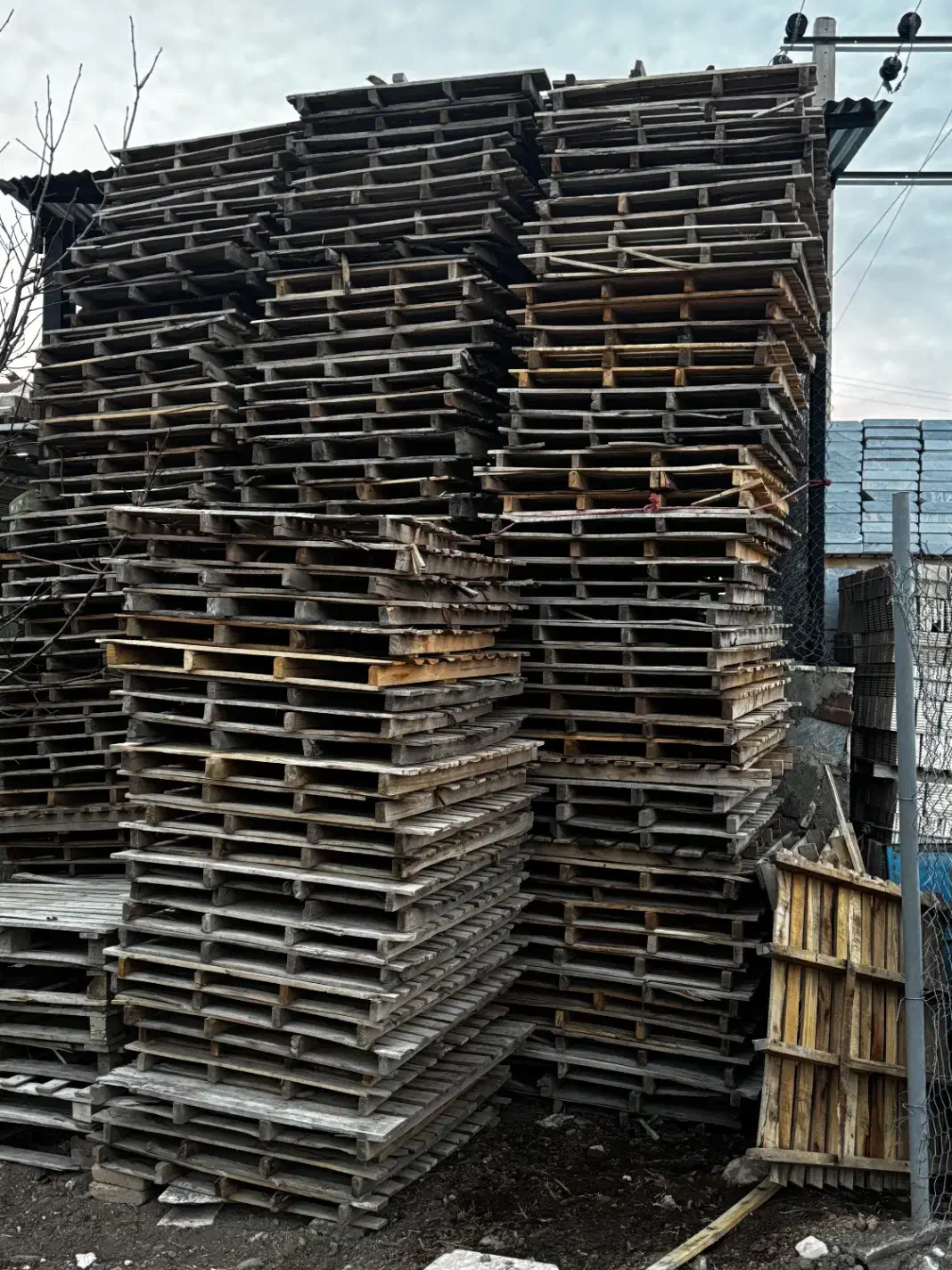 پالت چوبی زیر سرامیکی|عمده‌فروشی|طالقان, |دیوار