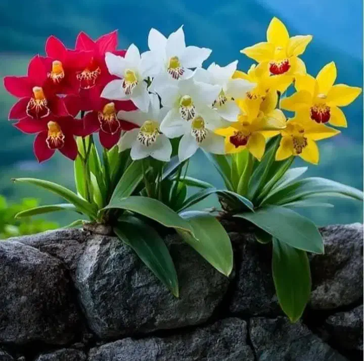 راهنمایی|فعالیت داوطلبانه|ملایر, |دیوار