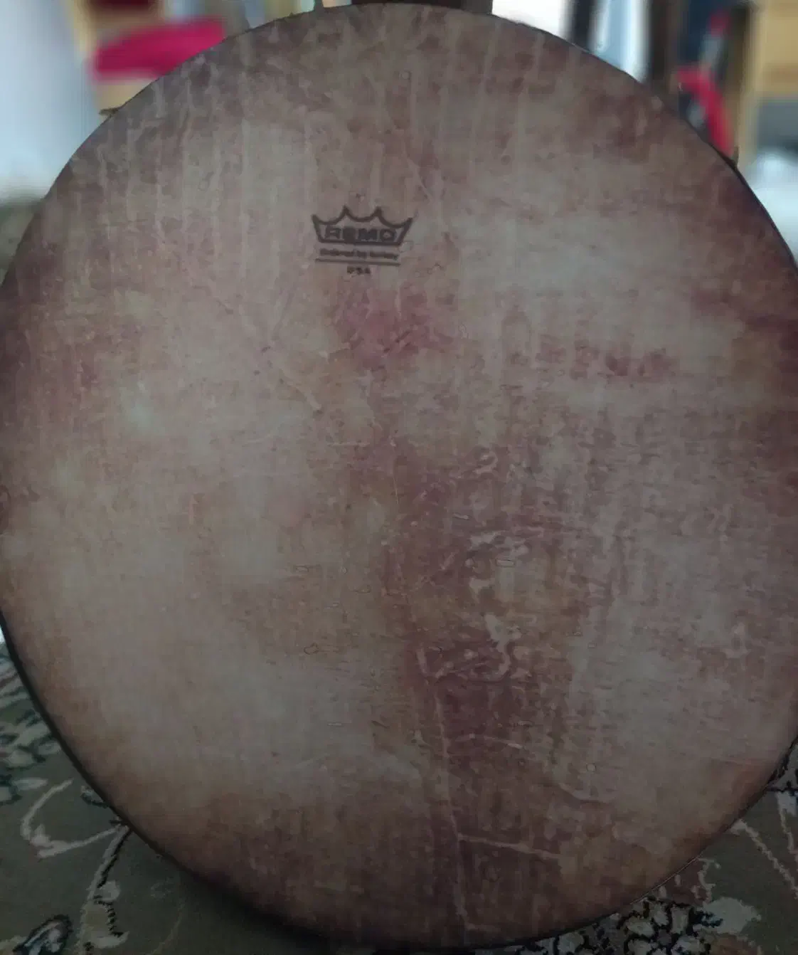 دایره نوجوان|سازهای سنتی|گلبهار, شهر جدید گلبهار|دیوار