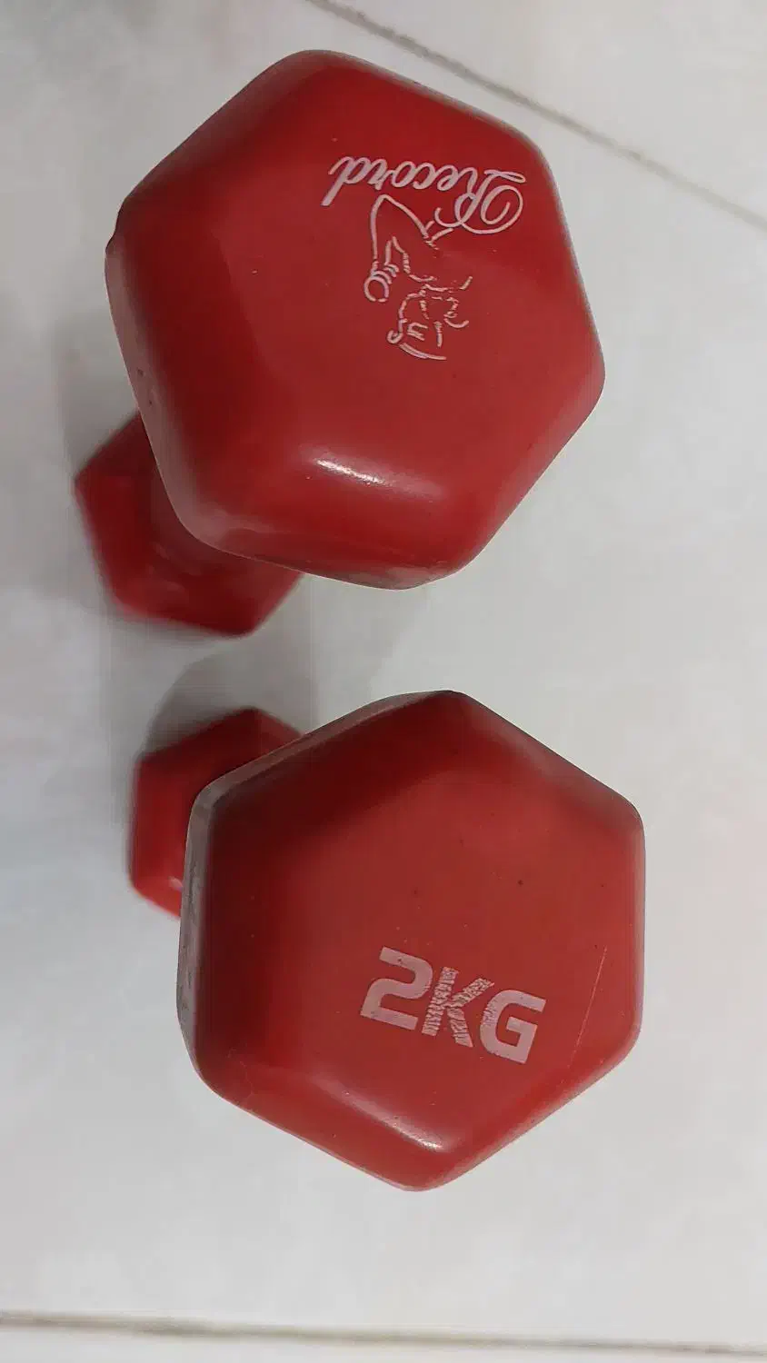 فروش دمبل روکش دار وزن 2 کیلوگرم|تجهیزات ورزشی|شیراز, زند|دیوار