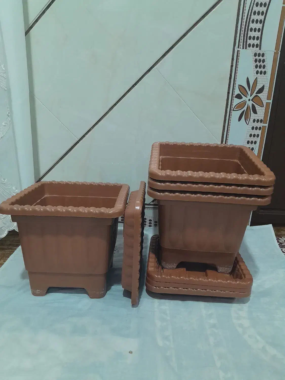 گلدان در حد نو|گل و گیاه طبیعی|هشترود, |دیوار