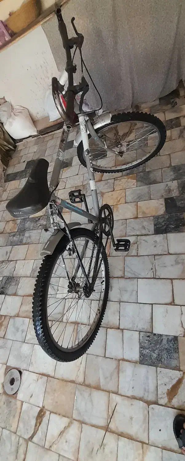 دوچرخه دماوند|دوچرخه، اسکیت، اسکوتر|بیرجند, |دیوار