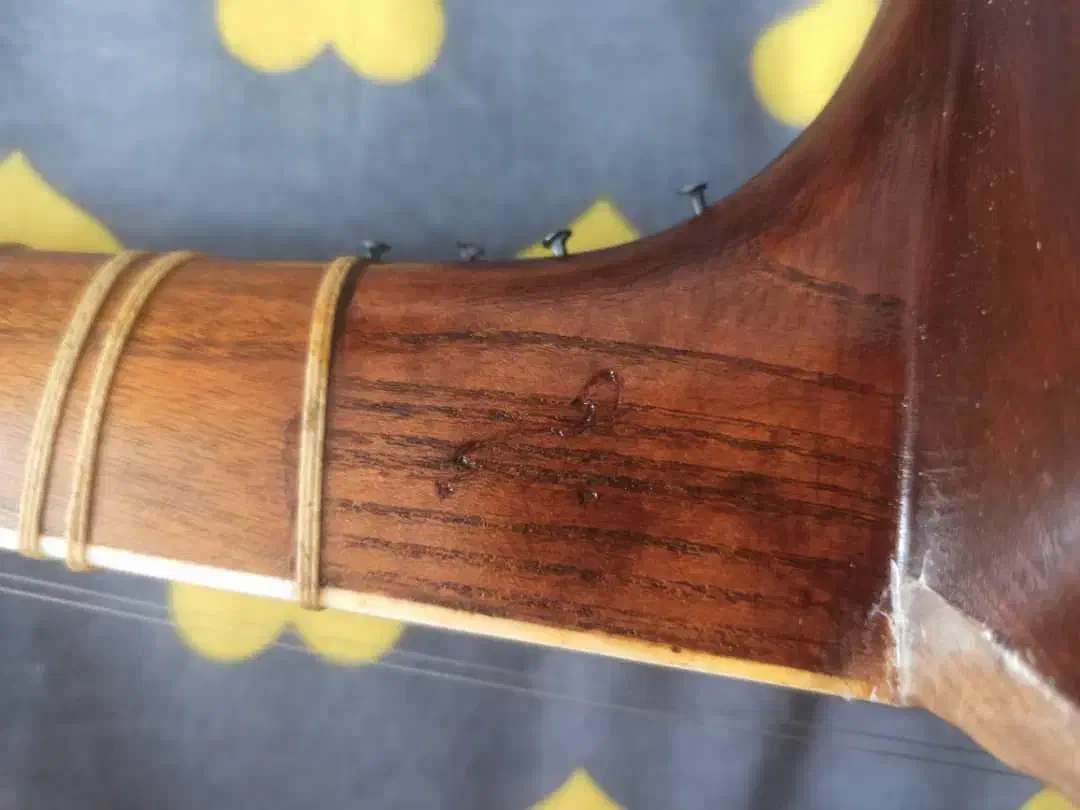 تار چهار گل (توافقی)|سازهای سنتی|شیراز, تندگویان|دیوار