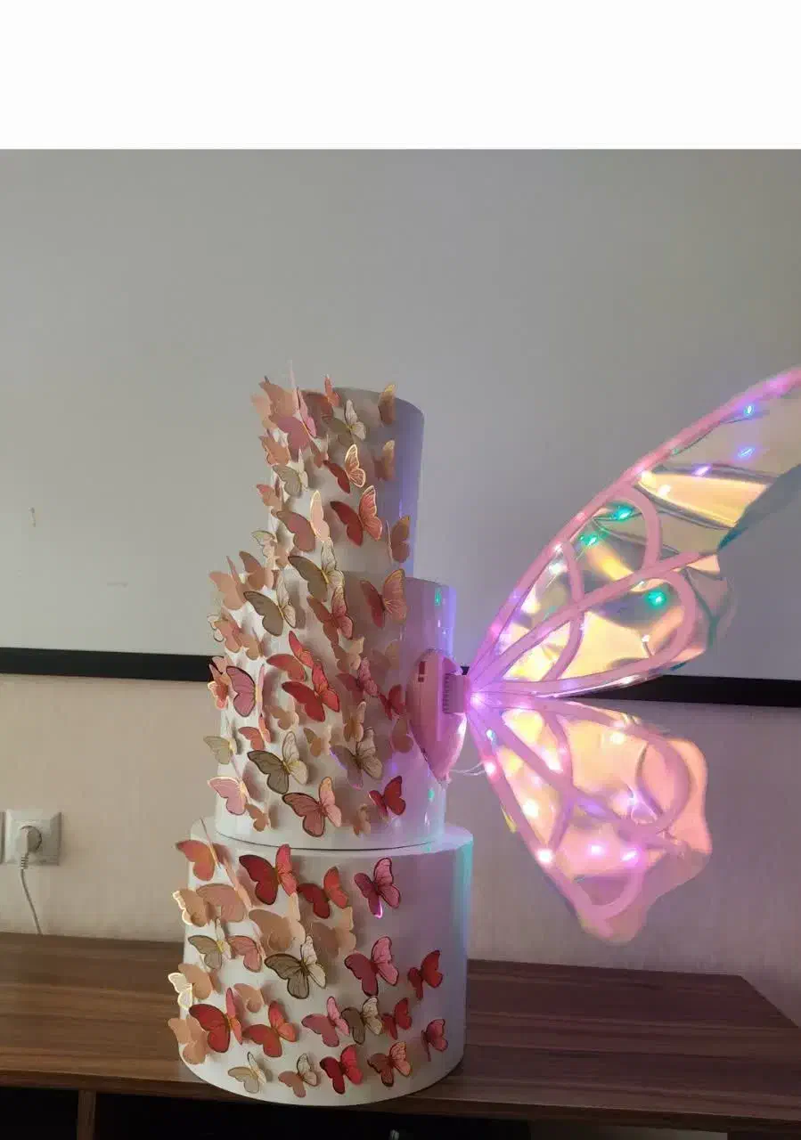 ماکت کیک پروانه|مجسمه، تندیس، ماکت|طرقبه, |دیوار