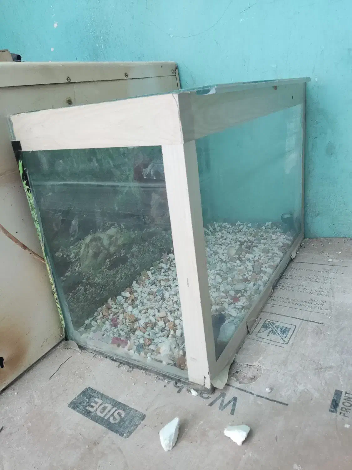 اکواریوم با پمپ هوا نو و سالم|ماهی|مسجد سلیمان, |دیوار