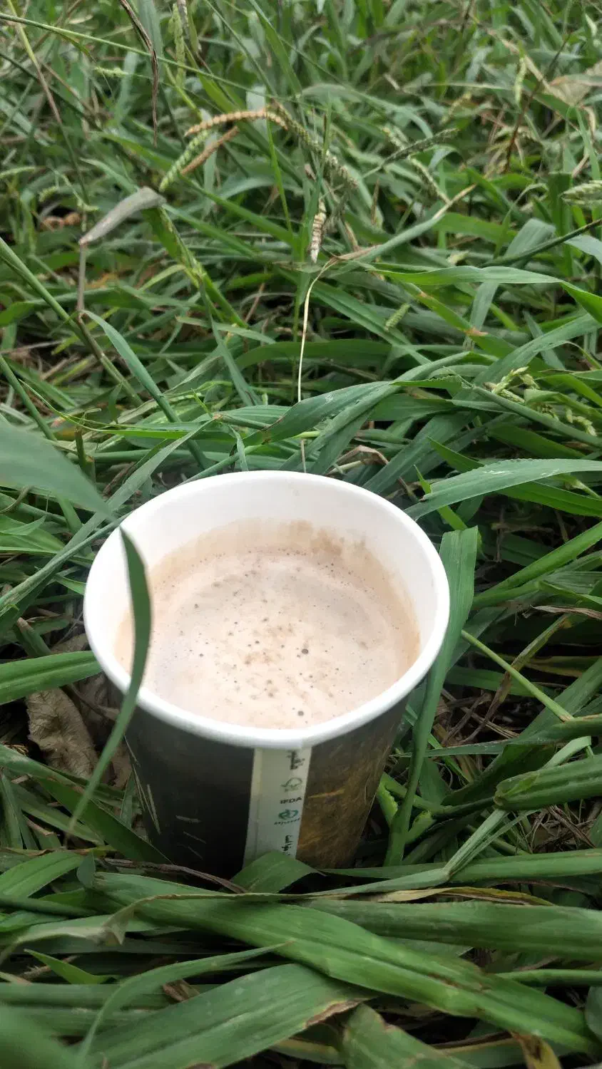 فال|خدمات پذیرایی، مراسم|کرج, چهارصد دستگاه|دیوار