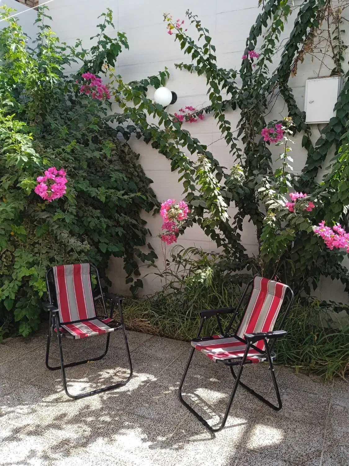 سوئیت نوساز یک نفر۴۵۰|اجارهٔ کوتاهمدت آپارتمان و سوئیت|میبد, |دیوار