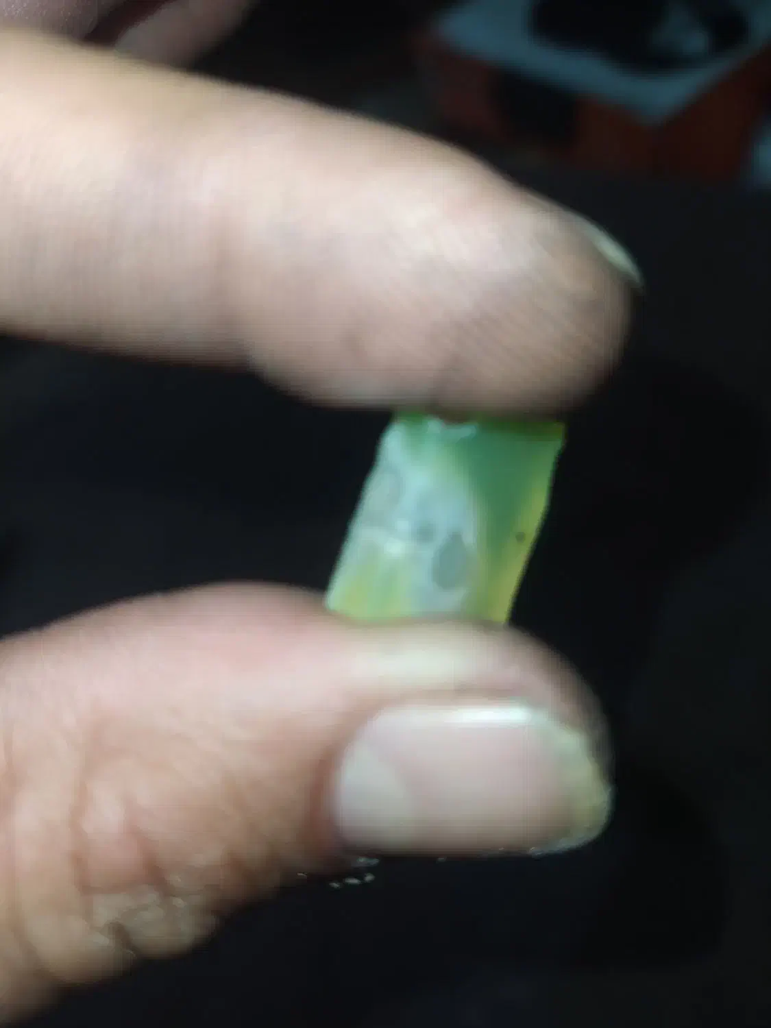 گوهرشبچراغوعقیقکبودباضمانتاصلیبودنقیمت2م|کلکسیون اشیاء عتیقه|مشهد, شهید قربانی|دیوار