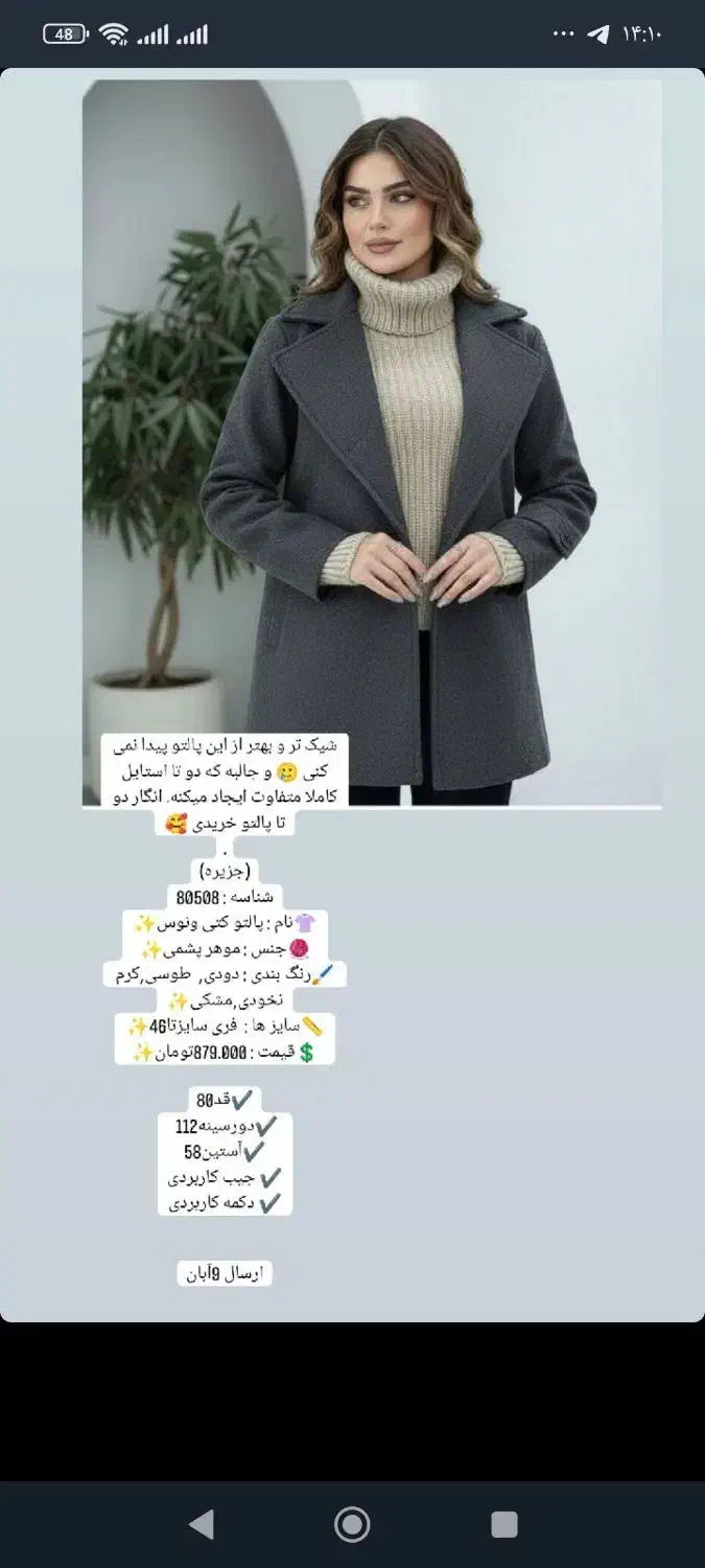 پالتو و کاپشن|لباس|تبریز, |دیوار