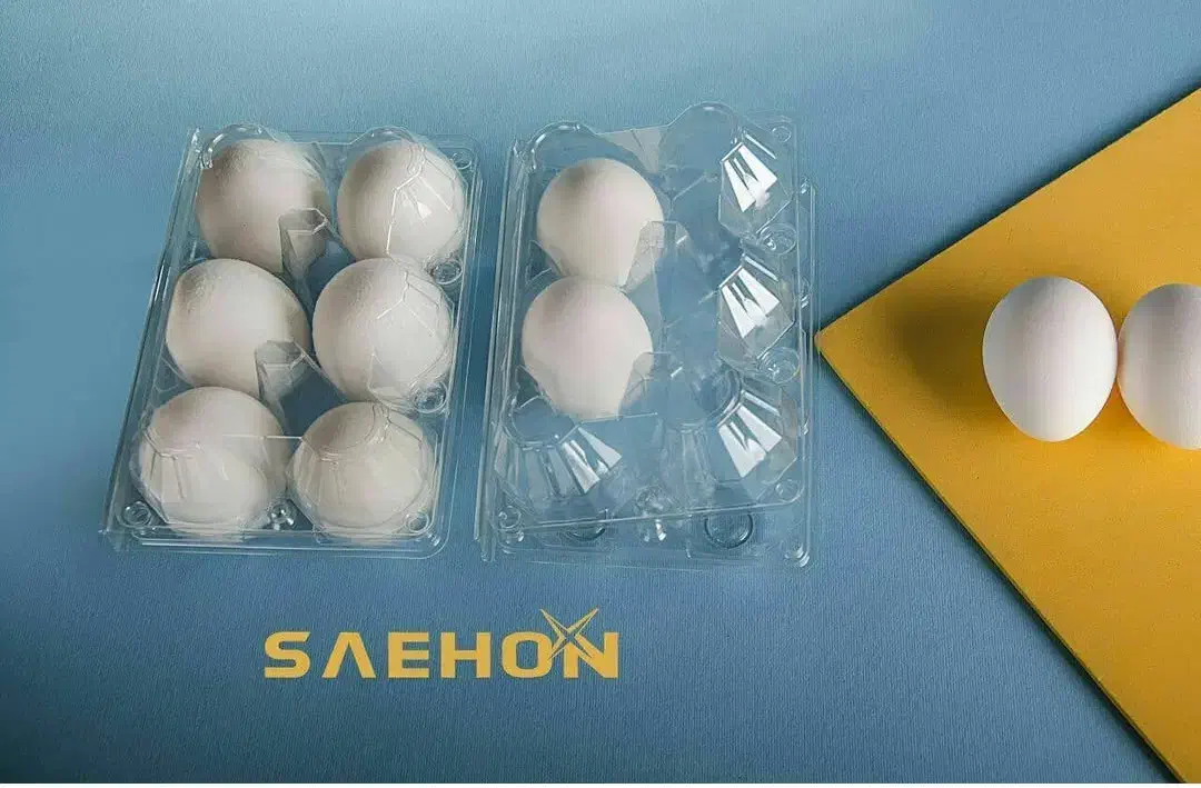شانه تخم مرغ ۶تایی|ظروف نگهدارنده، پلاستیکی، یکبارمصرف|قائمشهر, |دیوار