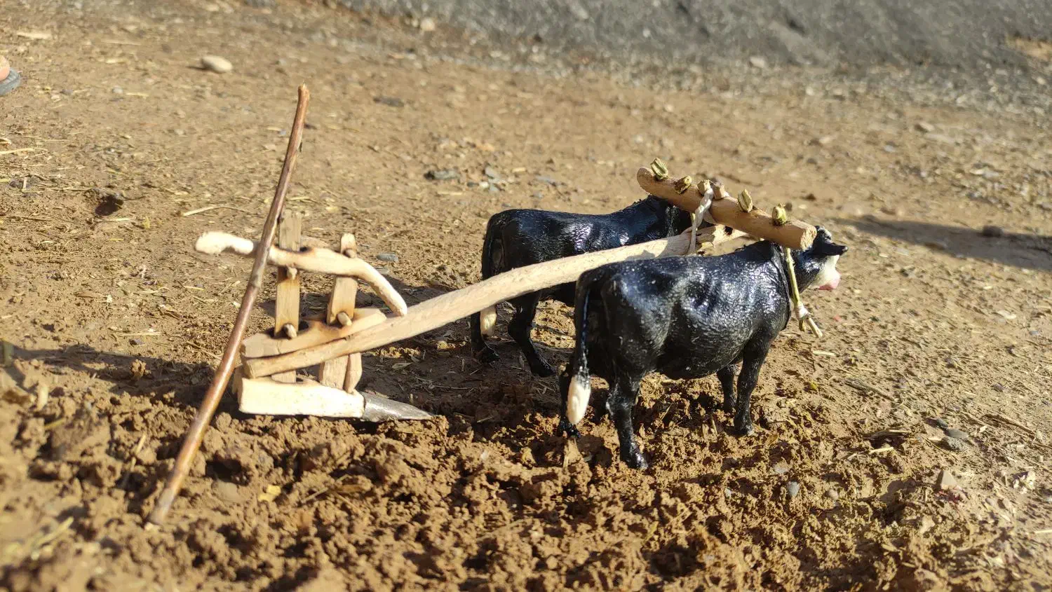 دکوری جفت گا|مجسمه، تندیس، ماکت|لردگان, |دیوار