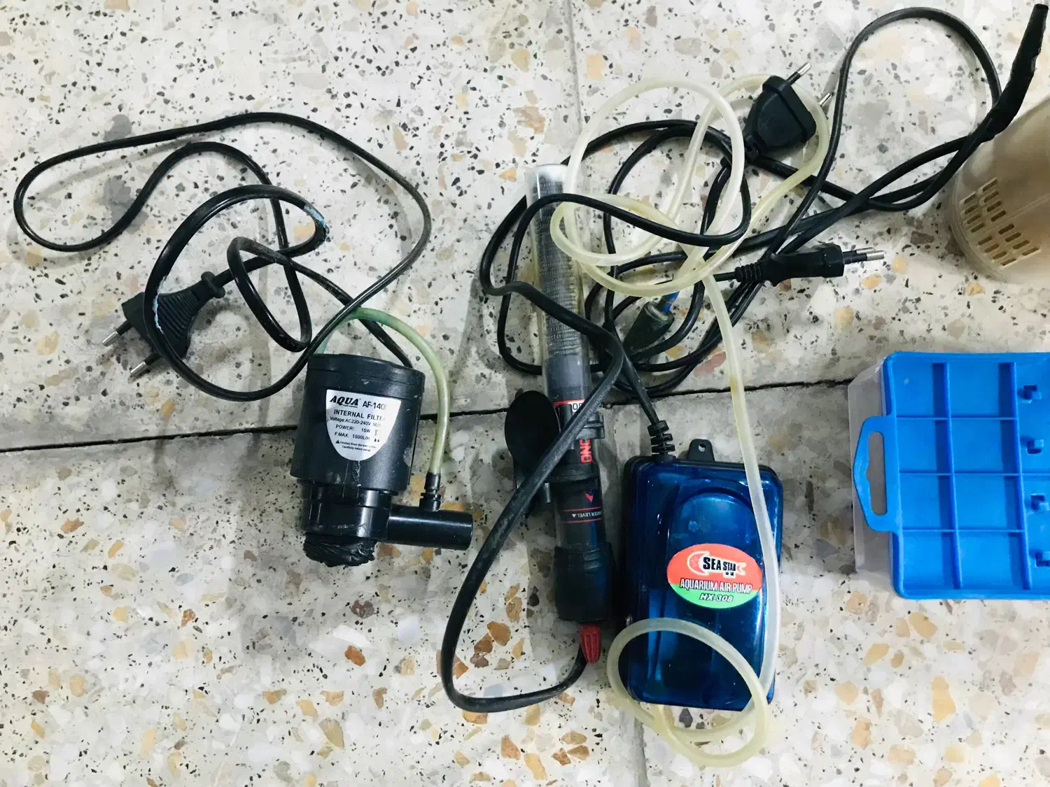 آکواریوم|ماهی|پردیس, فاز ۳|دیوار