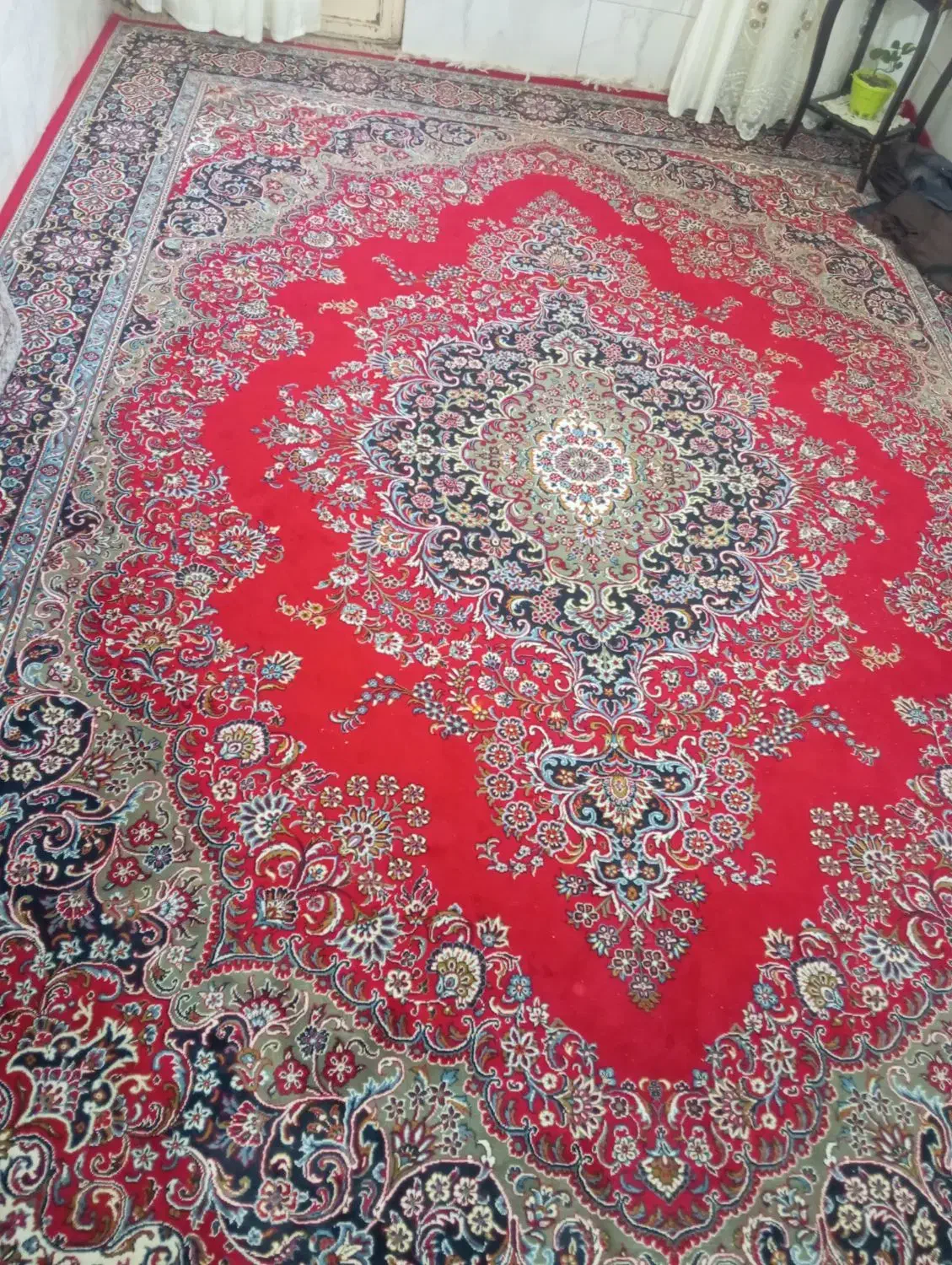 قالی|فرش|ساوه, |دیوار