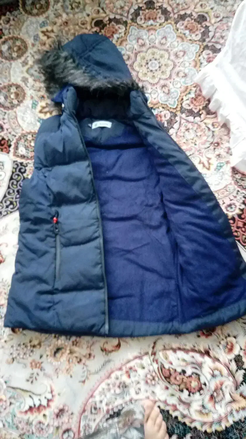 کاپشن ویک عددپافرپسرانه|لباس|هشتگرد, شهرک ولیعصر (مصلی)|دیوار