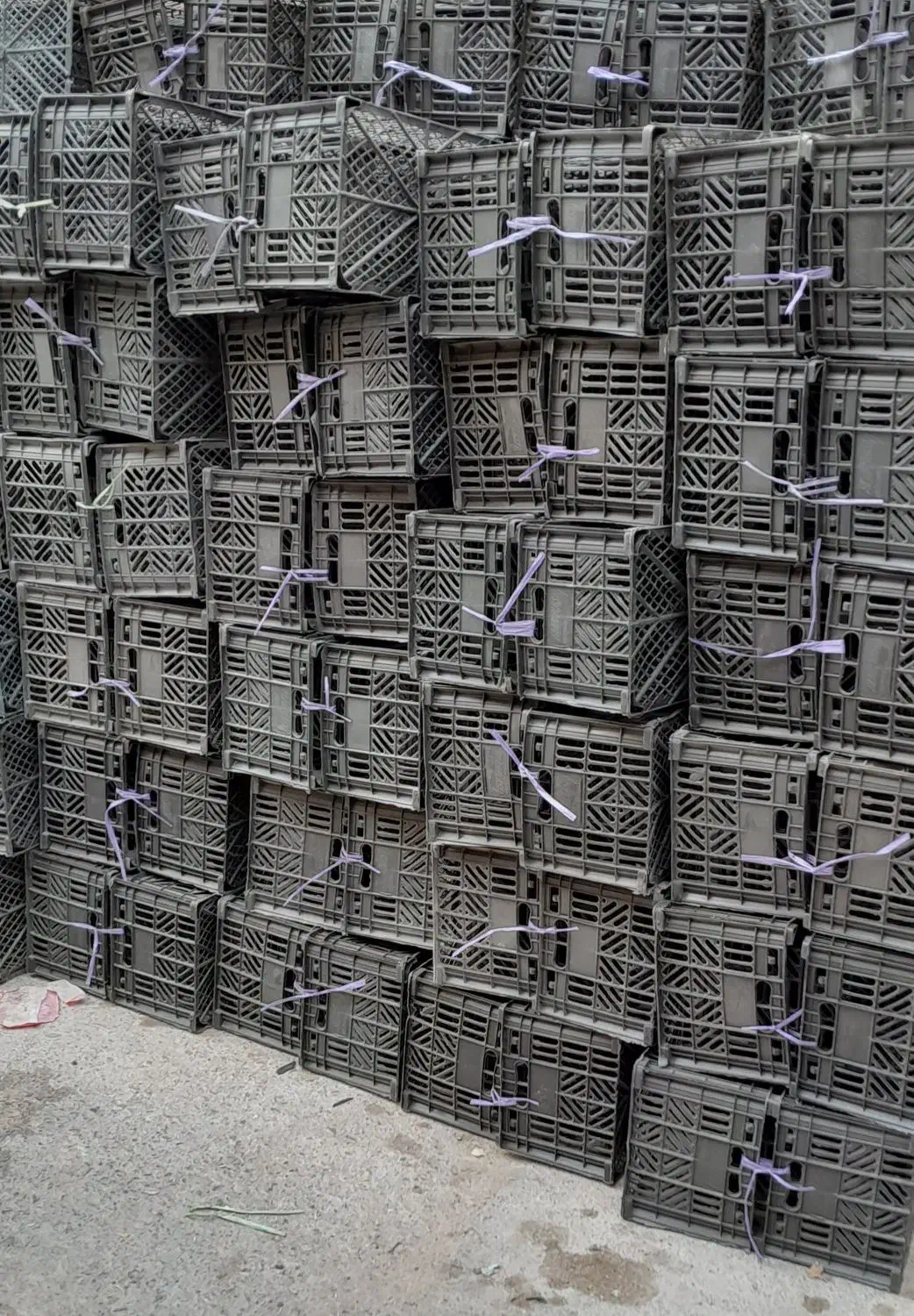 سبد میوه|ظروف نگهدارنده، پلاستیکی، یکبارمصرف|تفت, |دیوار