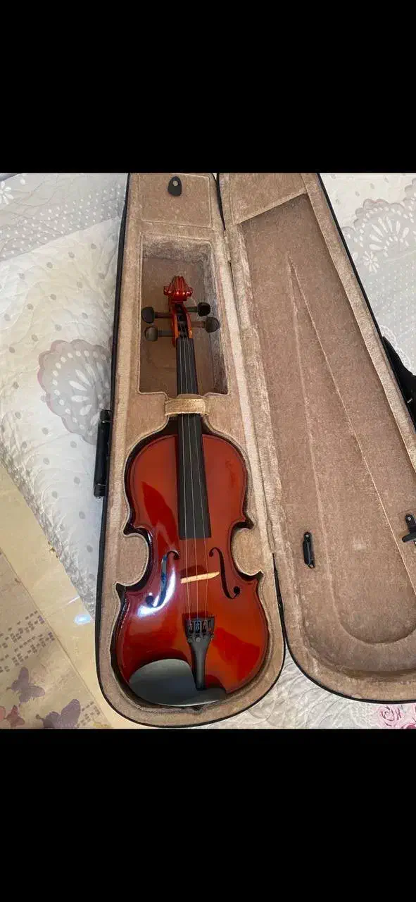 ویالون TF student|ویولن|رشت, منظریه|دیوار