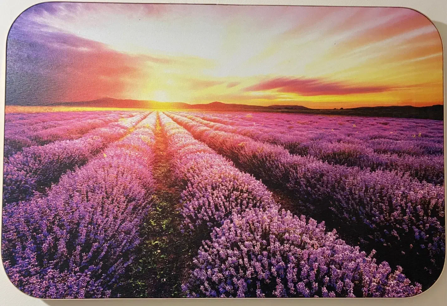 تابلو دکوراتیو ۴۰*۶۰|تابلو، نقاشی، عکس|آمل, |دیوار