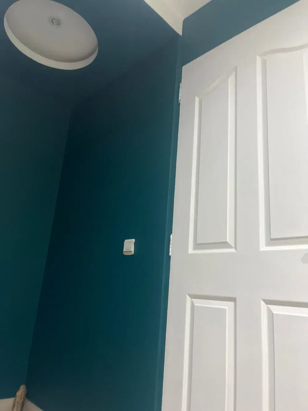 زیر زمین حدود ۷۰ متر بر اصلی خیابان ۲۸ متری امام|اجارهٔ مغازه و غرفه|شاهرود, |دیوار