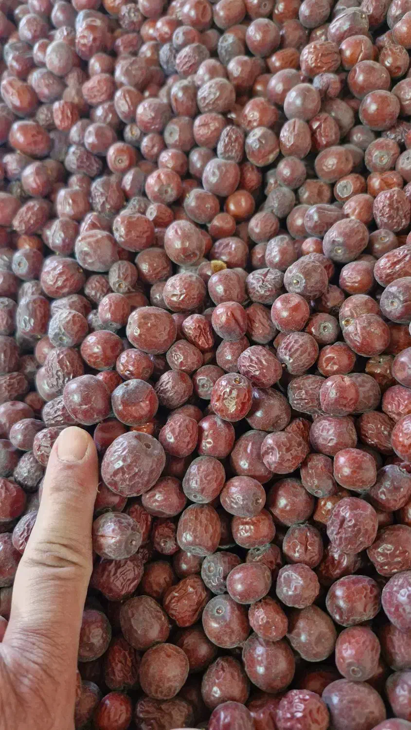 عناب فروشی|خوردنی و آشامیدنی|بیرجند, |دیوار