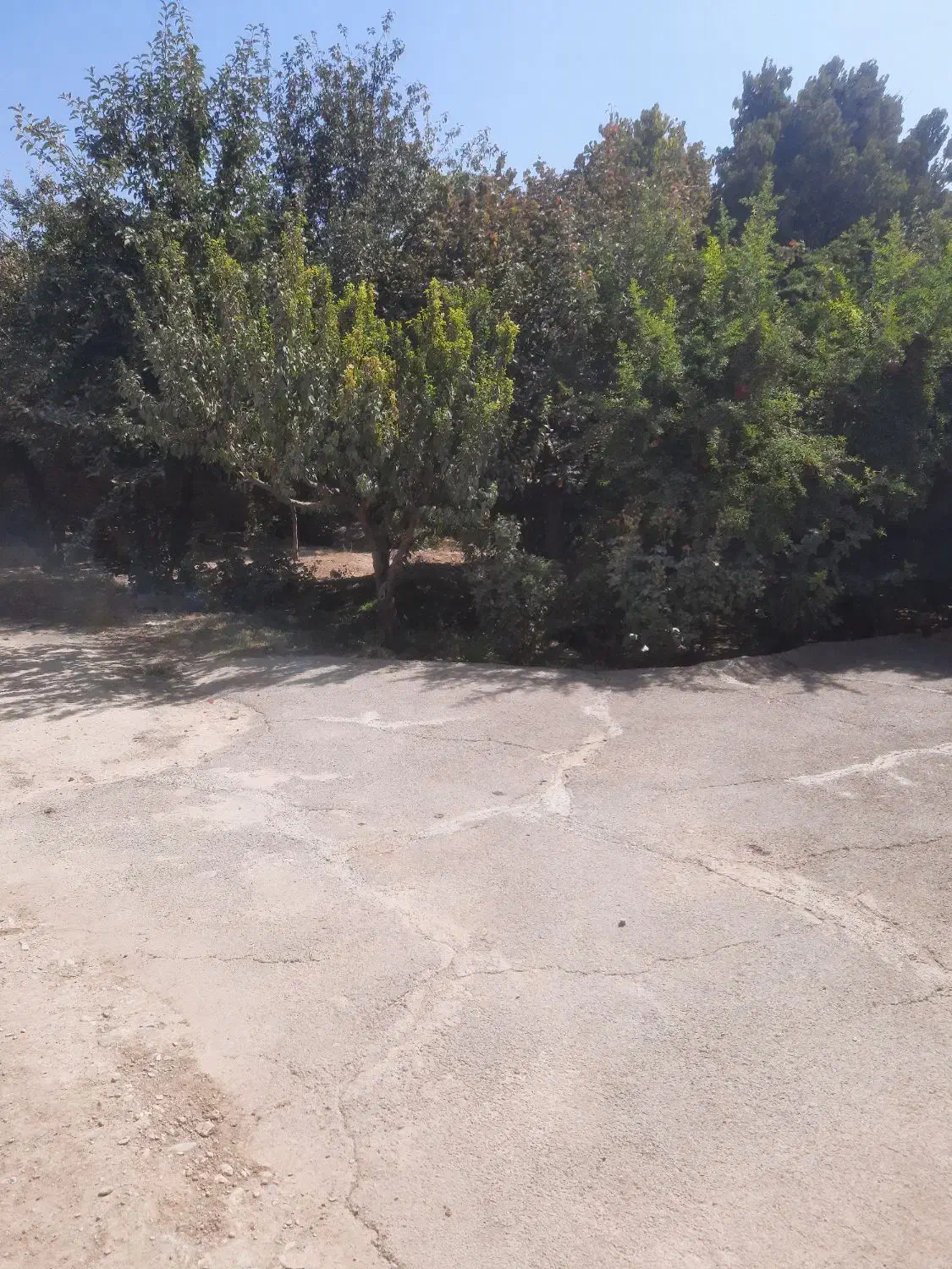 هزار متر ویلا داخل بافت|فروش خانه و ویلا|هشتگرد, هشتگرد قدیم|دیوار