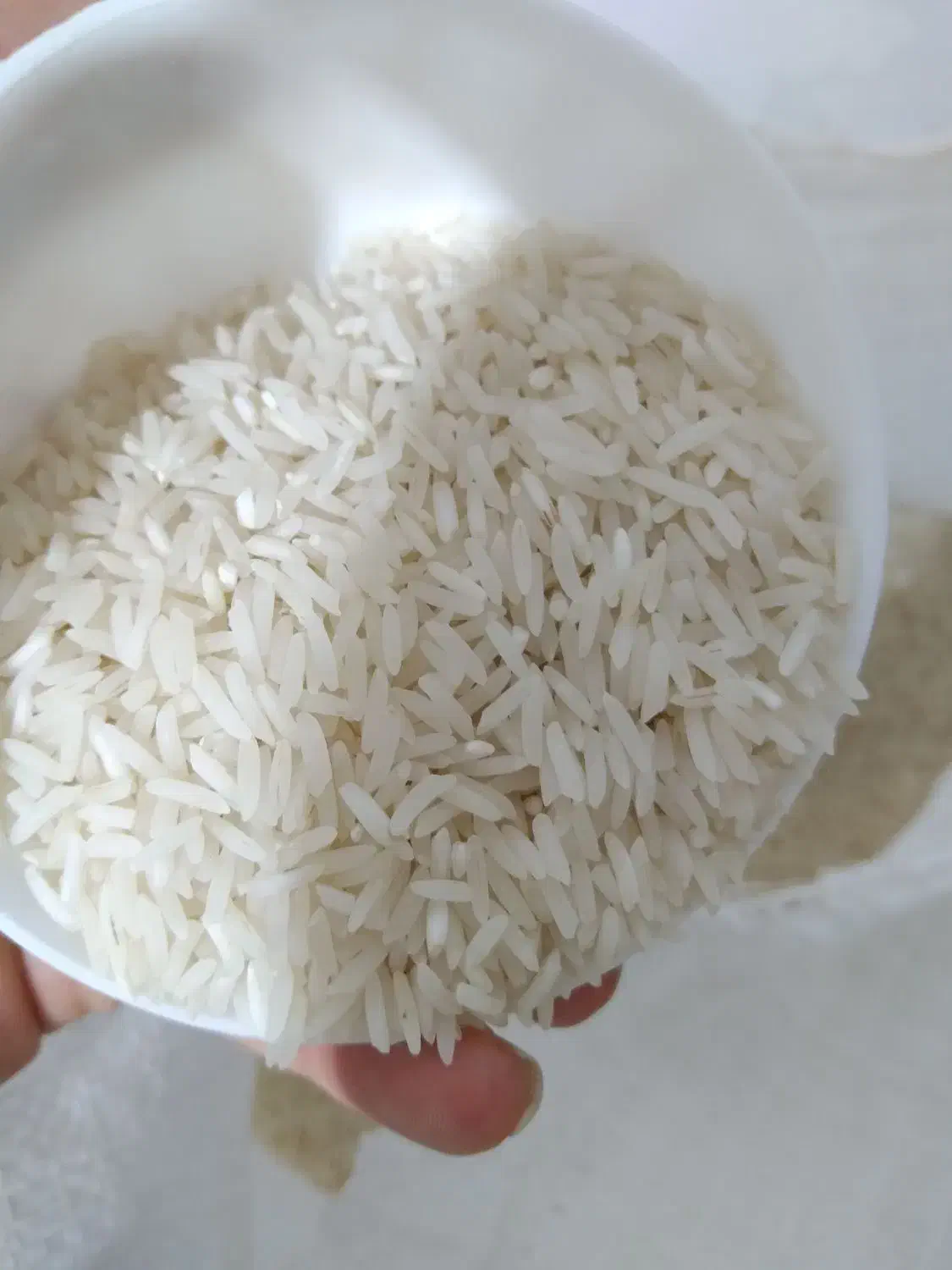 برنج ایرانی|خوردنی و آشامیدنی|بهار, |دیوار