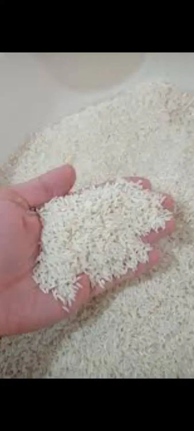 برنج هاشمی شمال|خوردنی و آشامیدنی|بندر گناوه, |دیوار