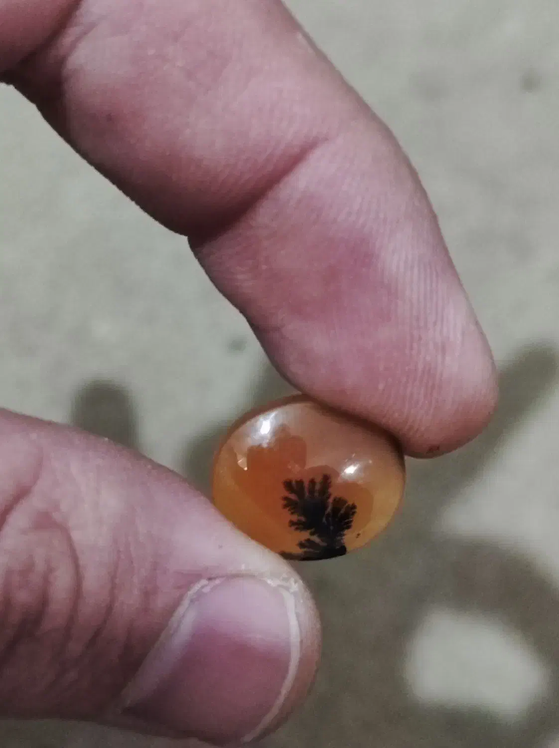 سنگ شجر|کلکسیون اشیاء عتیقه|کرمانشاه, |دیوار