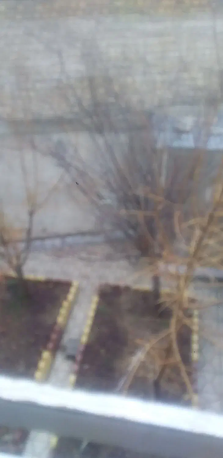 املاک|اجارهٔ خانه و ویلا|شیروان (خراسان), |دیوار