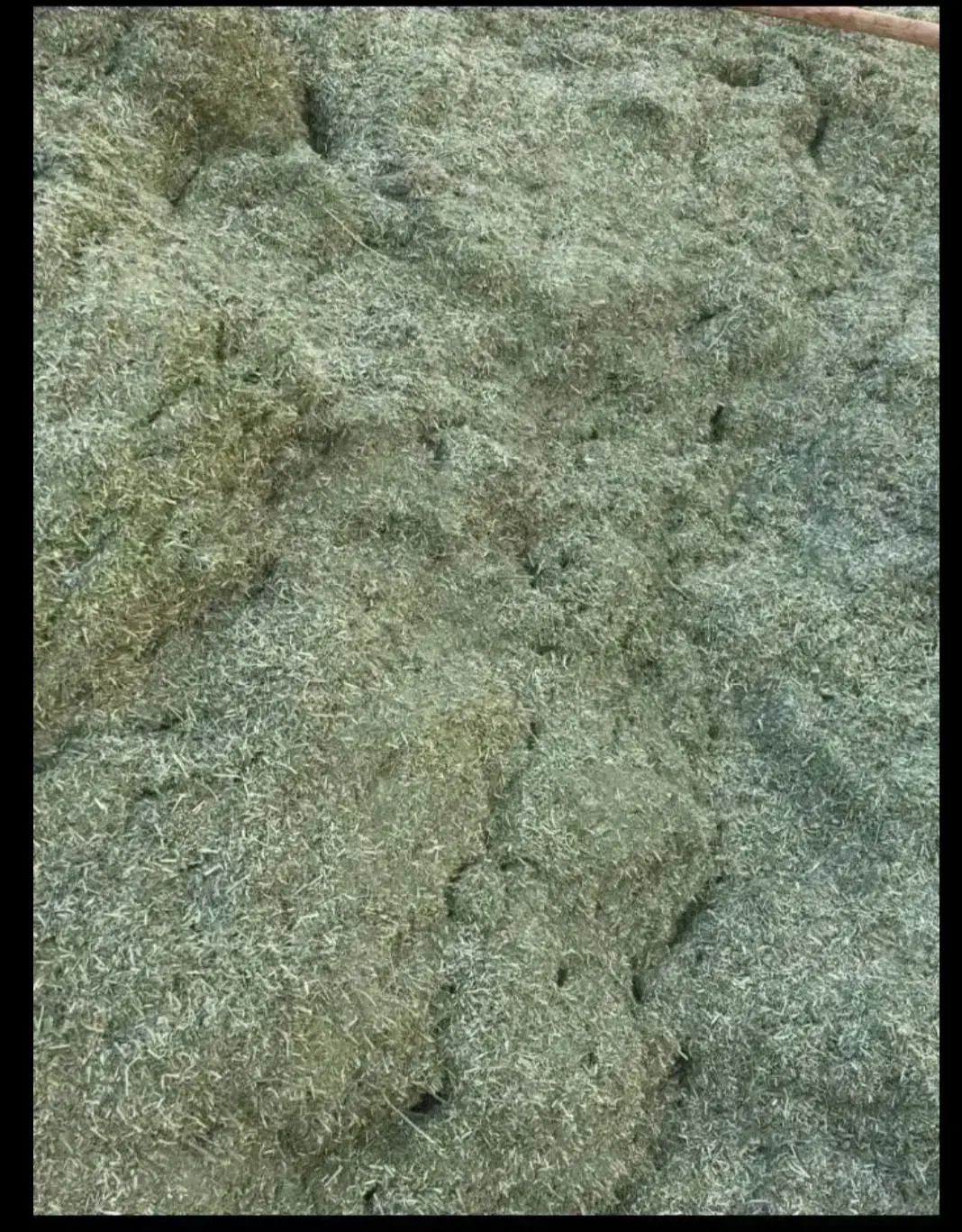 پرس|عمده‌فروشی|شیروان (خراسان), |دیوار