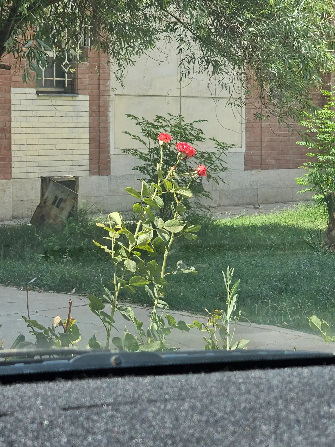 رهن و اجاره آپارتمان دو خوابه ۱۳۰متری در روزیطلب|اجارهٔ آپارتمان|شیراز, بریجستون|دیوار