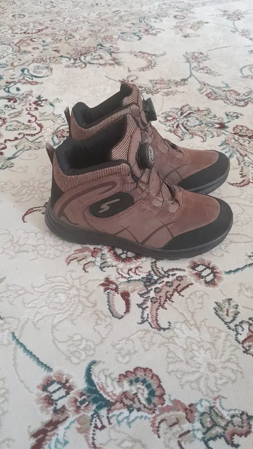 کفش|کیف، کفش، کمربند|نیشابور, گنبد سبز|دیوار