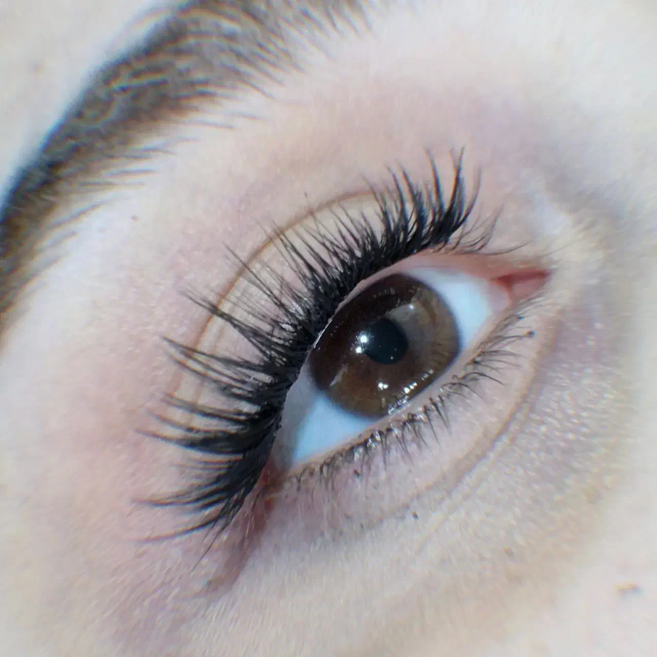 خدمات و اموزش انواع کاشت مژه|خدمات آرایشگری و زیبایی|بندر انزلی, شاکوچه|دیوار