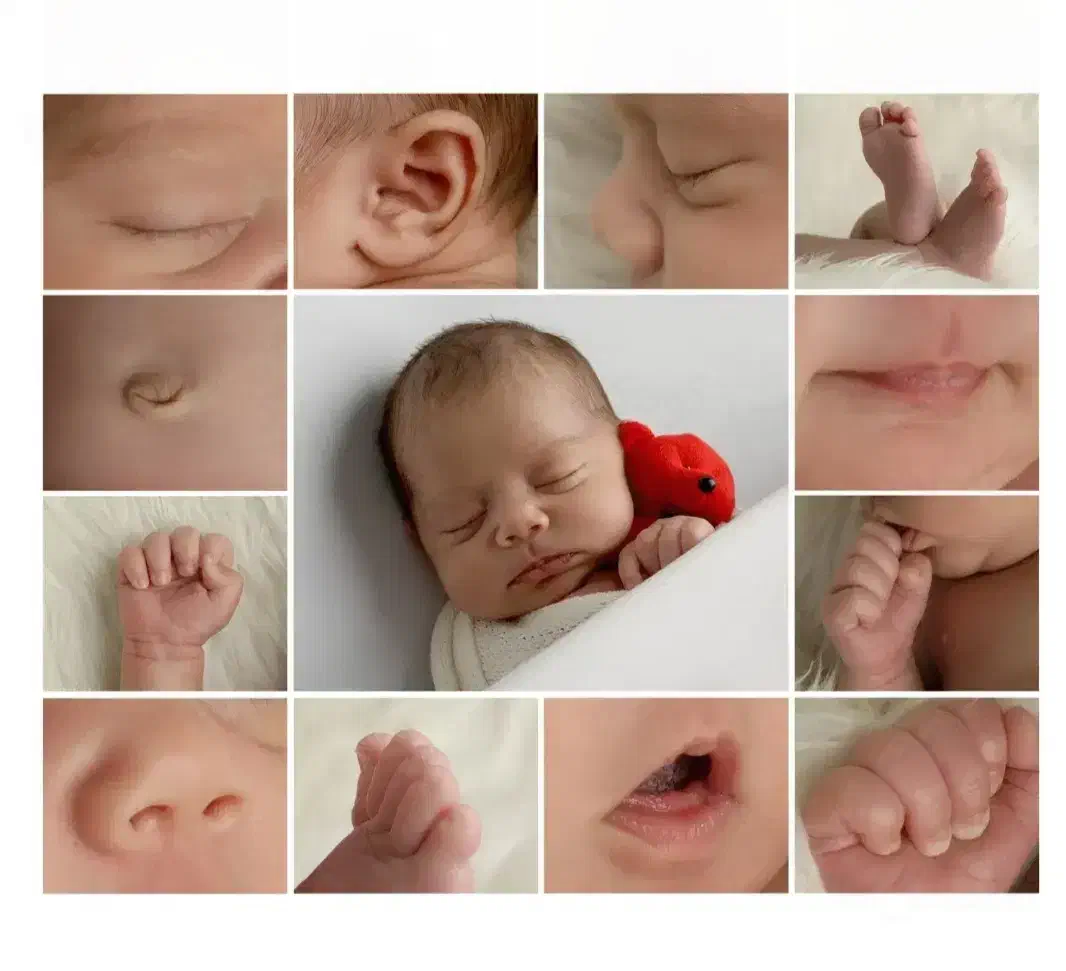 عکاسی و فیلمبرداری|خدمات پذیرایی، مراسم|شیروان (خراسان), |دیوار