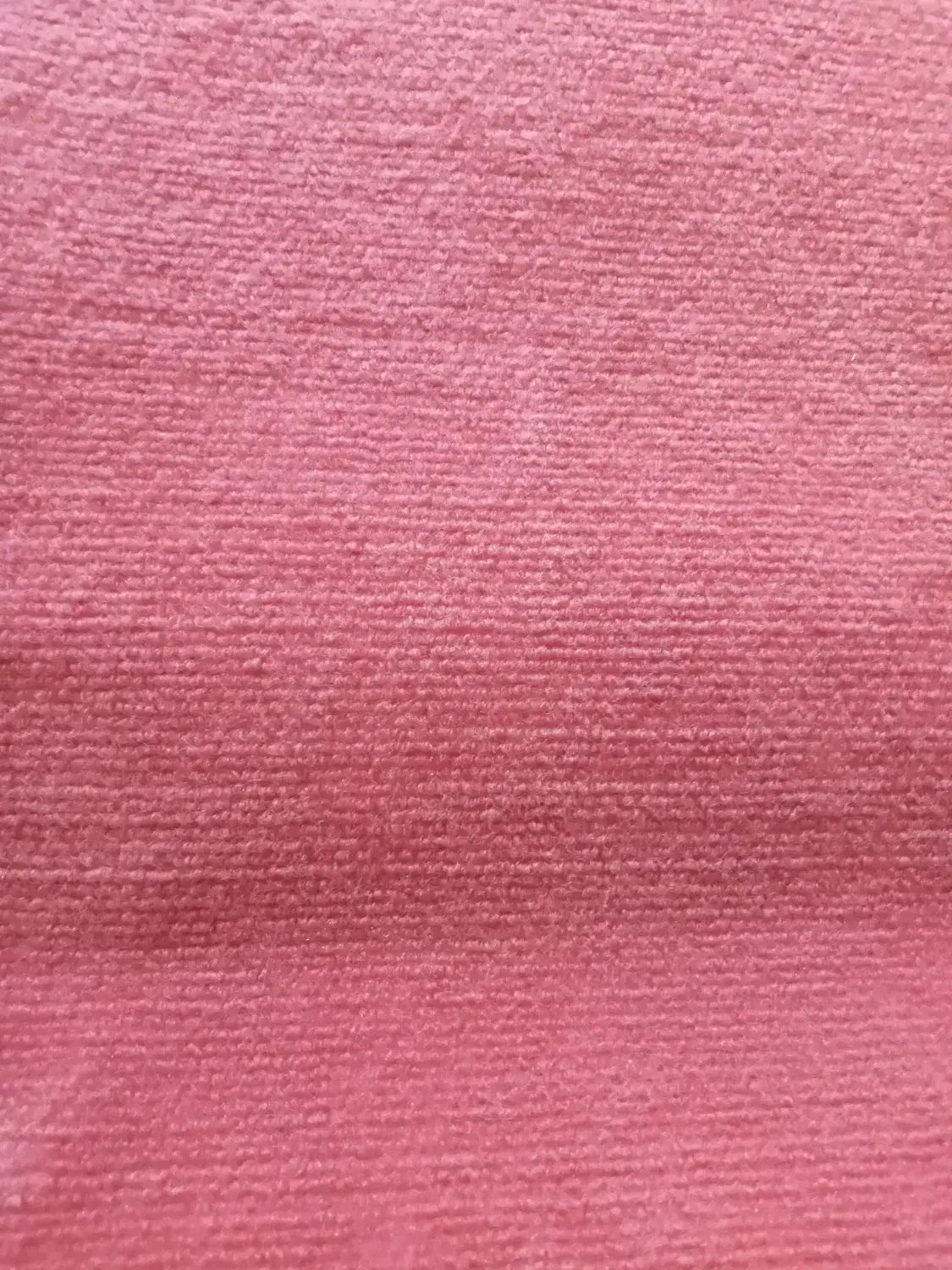 موکت کبریتی صورتی|موکت|پرند, فاز ۴|دیوار