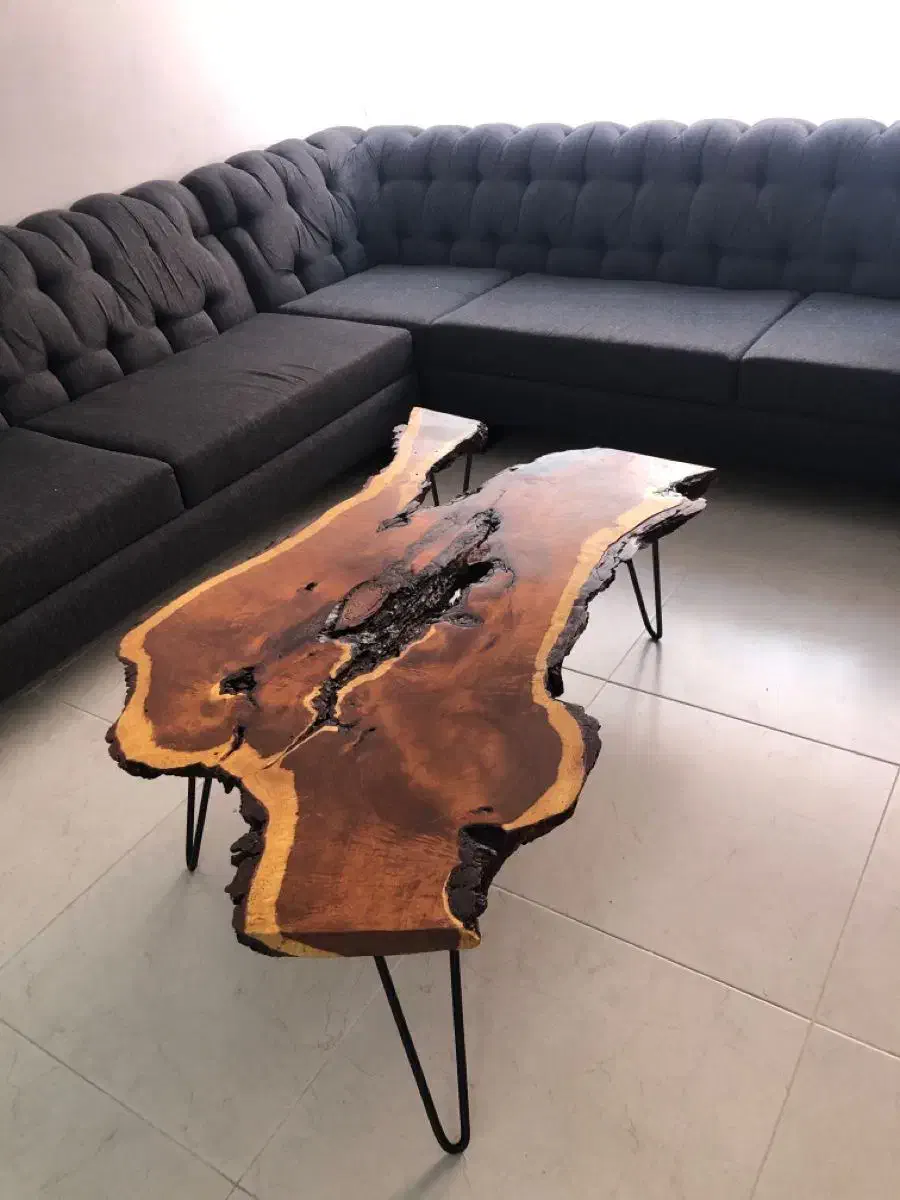 جلومبلی روستیک چوب طبیعی گردو و کنده درختی|مبلمان خانگی و میز عسلی|اهواز, پادادشهر|دیوار