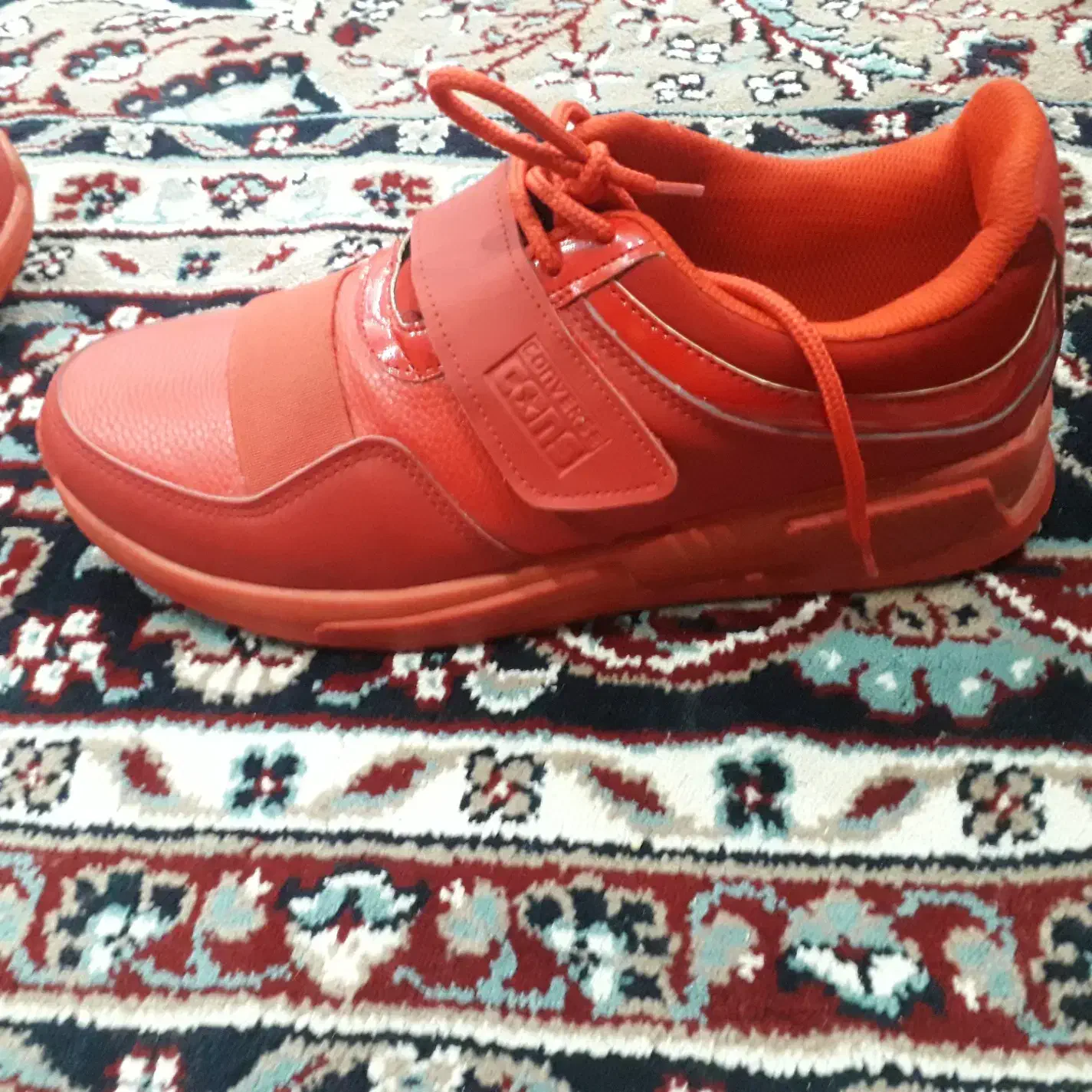 کفش|کفش و لباس بچه|اردبیل, |دیوار