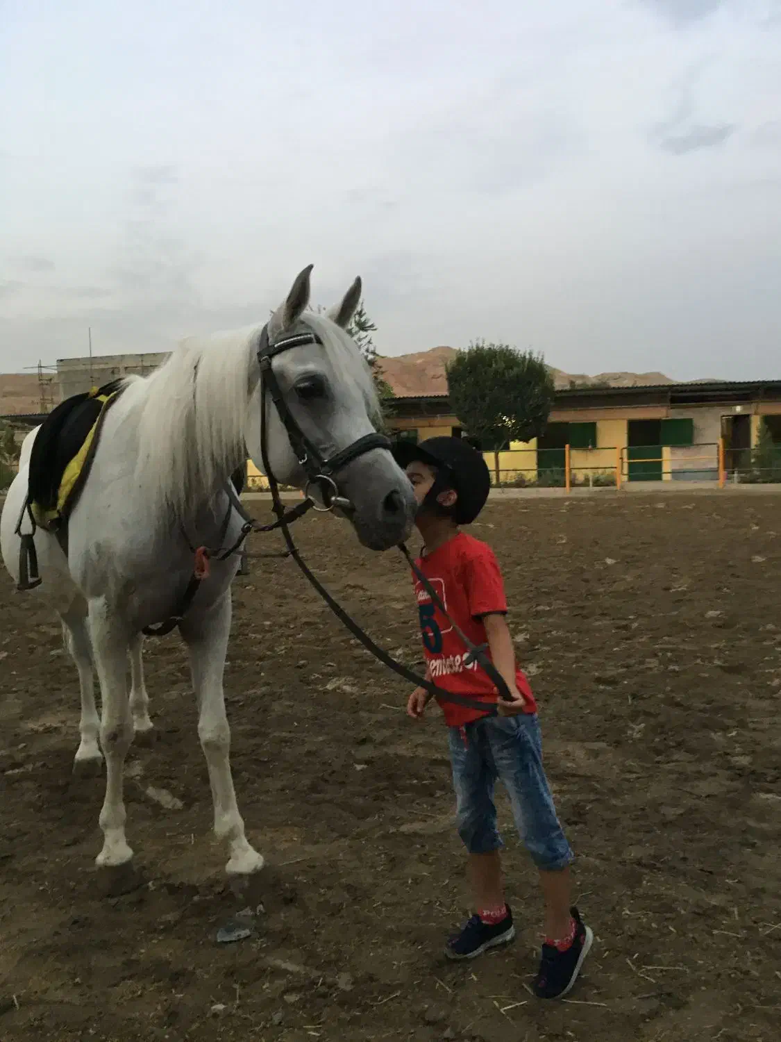 نعل اسب کار کرده دونه ی دویست هزار|اسب و تجهیزات اسبسواری|محمدشهر, همایون ویلا|دیوار